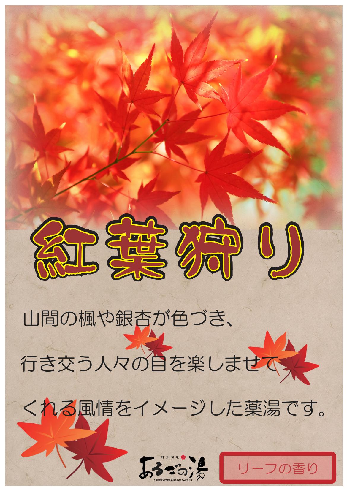 紅葉狩り_01.jpg